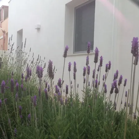 Borghetto Mediterraneo Aparthotel *